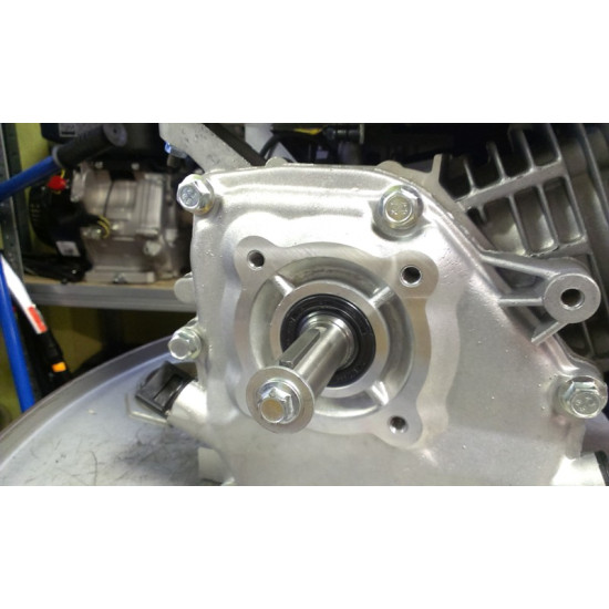 Motors Slong 7,5ZS GX210  Holzingers Honda 7,5Hp Lifan Loncin Zongshen Briggs&Stratton u.c. motoru aizvietotājs 4Takt BENZINMOTOR mit 7,5PS  Kartmotor  Standmotor Gasoline engine motobloka motors